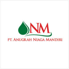 logo anm